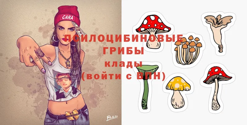 Псилоцибиновые грибы MAGIC MUSHROOMS  наркота  Пугачёв 